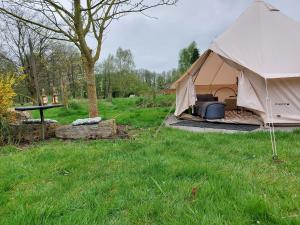 a tent in a field with a table in it at Kiek mol rin - Richmanns Appartements in Hüde