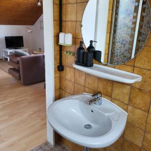 La salle de bains est pourvue d'un lavabo et d'un miroir. dans l'établissement FeWo Natur & Entspannung am Bodensee, à Langenargen
