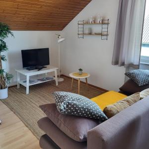 - un salon avec un canapé et une télévision dans l'établissement FeWo Natur & Entspannung am Bodensee, à Langenargen