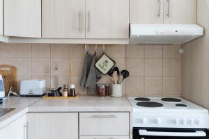Kuchyň nebo kuchyňský kout v ubytování Platon Central Apartment