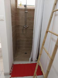 W łazience znajduje się prysznic z czerwonym dywanem. w obiekcie Le spot w Fare