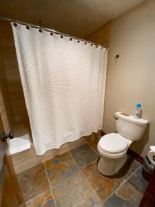 uma casa de banho com um WC e uma cortina de chuveiro em 1BDR Ski In Out Condo Stunning Mountain Location em Park City
