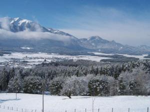 a snow covered mountain in the distance with trees and snow at Ferienwohnung für 7 Personen ca 70 qm in Bleiburg, Kärnten Unterkärnten in Bleiburg