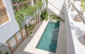 uma vista superior de uma piscina num edifício com plantas em ARTI by Umah - Pererenan em Canggu