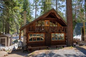 a log cabin in the woods with a tree at 3BR Mountain Cabin-Near Beach & Slopes in Homewood