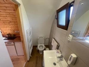 La petite salle de bains est pourvue de toilettes et d'un lavabo. dans l'établissement Luxurious Livada Bungalow, 