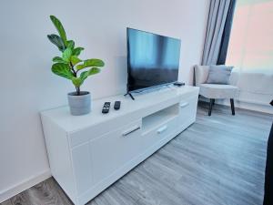 TV a/nebo společenská místnost v ubytování Apartment OTTO II - Erfurt Zentrum