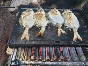 eine Gruppe von fünf Fischen, die auf einem Grill kochen in der Unterkunft Apartmani Sara Marija in Karlobag