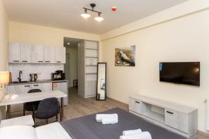Cozy Studio Ski In Out Apartment In New Gudauri في غودواري: غرفة مع مطبخ وغرفة معيشة