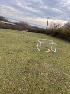 un terrain avec un but de football dans l'herbe dans l'établissement Dorono House, à Balatonudvari