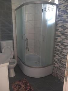 een badkamer met een douche en een toilet bij Apartment Hristef in Ljubaništa