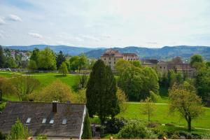 巴登－巴登的住宿－Stadtblick vom Herrengut，一座有树木和建筑物的田野建筑