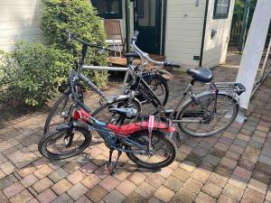 Jízda na kole v ubytování Sfeervol chalet Hoenderloo, de Veluwe nebo okolí