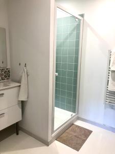 um chuveiro com uma porta de vidro na casa de banho em Logement neuf et climatisé, au coeur du village em Saint-Didier
