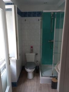 a small bathroom with a toilet and a shower at Maison avec jardin in Caen