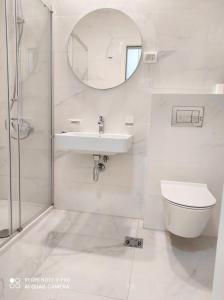 uma casa de banho com um lavatório, um WC e um espelho. em Comfort Central Point apartment em Podgorica