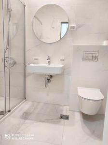 a bathroom with a sink and a toilet and a mirror at Comfort Central Point apartment in Podgorica