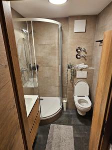 a bathroom with a shower and a toilet and a sink at Alpen Studio Ellmau II in Ellmau