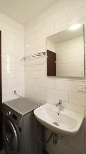ein Badezimmer mit einem Waschbecken, einem Spiegel und einer Waschmaschine in der Unterkunft Bright and Cozy Apt in Tbilisi in Tbilisi City