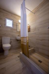 a bathroom with a shower with a toilet and a tub at TWINS-TRISA APARTMENTS in Ornos