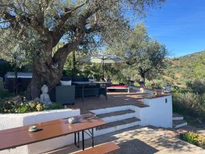 patio con tavolo e ombrellone accanto a un albero di Casa Almendro a Comares
