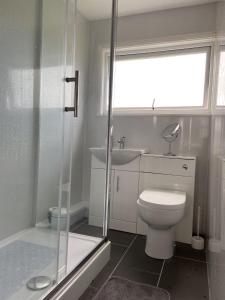 a bathroom with a shower and a toilet and a sink at Bermuda Chalet - Hemsby in Hemsby