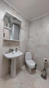 uma casa de banho com um WC branco e um lavatório. em Eugenijus Apartments em Juodkrantė