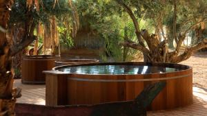 een hot tub in het midden van een tuin met bomen bij Moa Living in Ẕofar
