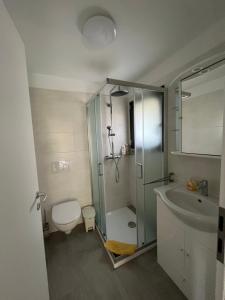 uma casa de banho com um chuveiro, um WC e um lavatório. em casa ciliegio em Vogorno