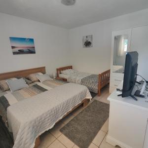 a bedroom with two beds and a flat screen tv at Apartment Matic Duboka in Duboka