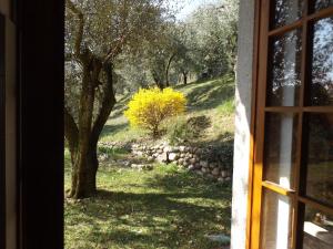 een raam met uitzicht op een boom en een stenen muur bij Ferienwohnung für 4 Personen ca 100 qm in Marciaga, Gardasee Ostufer Gardasee in Marciaga