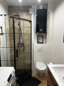 Ένα μπάνιο στο Apartament Helenka +8 φωτογραφίες