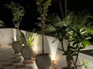 Zahrada ubytování Le Tamara Suite - TIE Hotels & Resorts