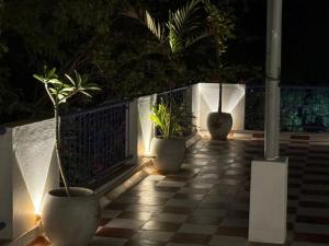 Zahrada ubytování Le Tamara Suite - TIE Hotels & Resorts