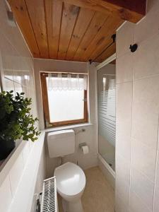 a small bathroom with a toilet and a window at Tiny House mit Garten in See-Nähe in Tauche