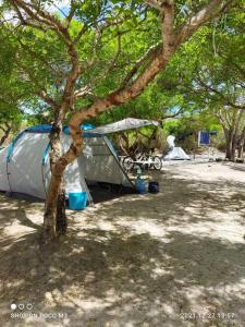 ein Zelt unter einem Baum aufgestellt ist in der Unterkunft Mida Creek Eco Camp in Watamu