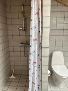 Cozy Apartment in Billund في بيلوند: حمام مع مرحاض وستارة دش +7 صور