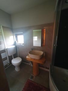 Koupelna v ubytování Casa tradițională Bilbor + 30 fotografií