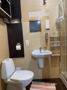 a bathroom with a toilet and a sink at Apartament Hajstra z ogrodem in Grodzisk +18 photos