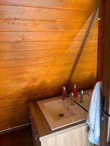 a bathroom with a sink and a wooden wall at Casuta Pescarului 