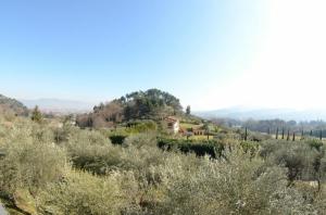 een uitzicht op een heuvel met bomen en een huis bij Ferienwohnung für 8 Personen ca 196 qm in Lucca, Toskana Provinz Lucca - b52351 in Lucca