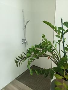 a green plant in a bathroom with a shower at Stadtgrün 1 in Berlin