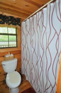 a bathroom with a toilet and a shower curtain at Sleepy Creek - Creekside Escape in Berkeley Springs