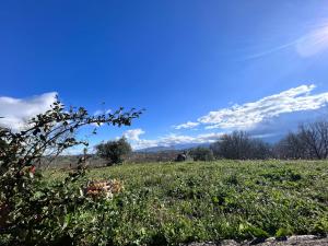 a field of grass with the sky in the background at Residence San Martino in Busso