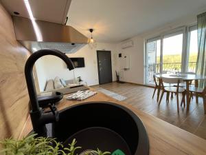 Gallery image of Apartmani Živković in Veliko Gradište +29 photos