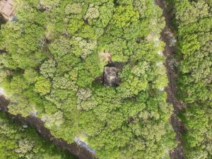 Afbeelding uit fotogalerij van Namba Cabin -- Pet Friendly, River Access, Grill, Wifi, Deck, Screen Porch, Family Friendly in Morton Grove