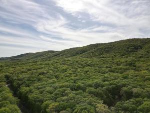 Afbeelding uit fotogalerij van Namba Cabin -- Pet Friendly, River Access, Grill, Wifi, Deck, Screen Porch, Family Friendly in Morton Grove