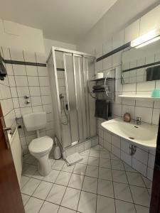 a bathroom with a toilet and a shower and a sink at Gästehaus Zur Schmiede in Burghaun