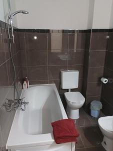 ein Badezimmer mit einer weißen Badewanne und einem WC in der Unterkunft Sanremo Apartment in Sanremo
