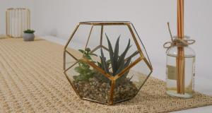 a glass container with a plant in it next to a bottle at Alice al Mare in Pescara